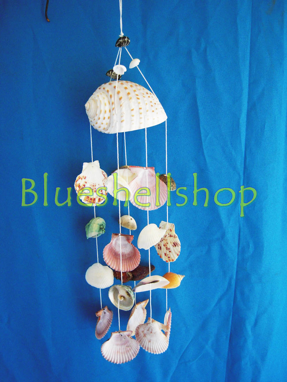 โมบายหอยโข่งจุดห้าสาย