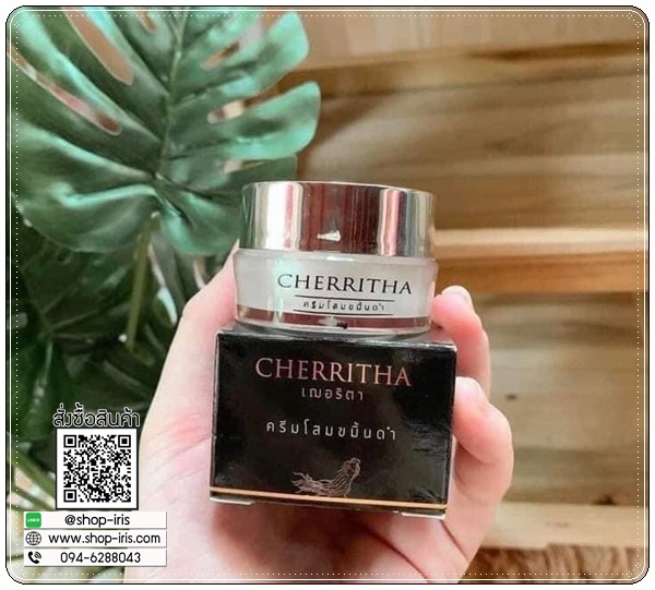 ครีมโสมขมิ้นดำ Cherritha ครีมเฌอริตา