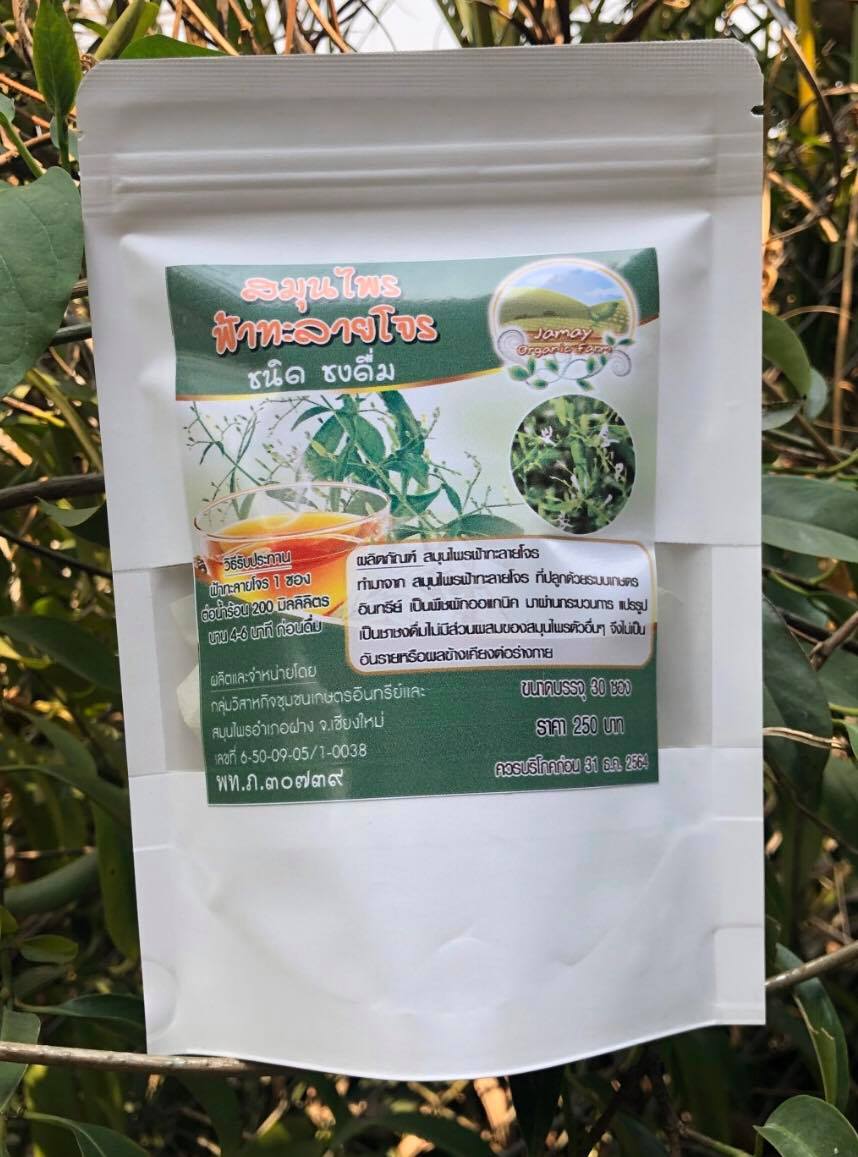 ชาฟ้าทะลายโจร ขนาดบรรจุ 30 ซองชา มีเลขทะเบียนเภสัชรับรอง Andrographis Tea ฟ้าทะลายโจรต้านไวรัส ช่วยกระตุ้นการสร้างภูมิคุ้มกันในร่างกาย ต่อต้านสิ่งแปลกปลอมที่เข้ามาในร่างกาย