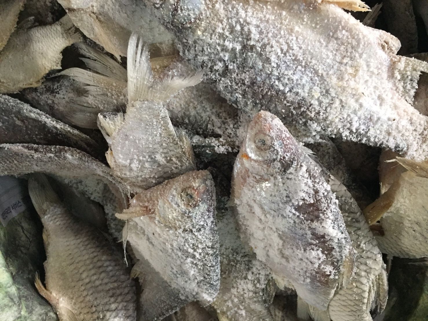 ปลาหมักเกลือ ปลาเน่า น้ำหนัก 500 กรัม ပႃႇၸႃႇ - ပႃႇၸႃႇၶမ်းၵႅတ်းသေ ปลาหมักสูตรไทยใหญ่ Fermented Fish - Burmese Style Pickled Fish ปลาเน่า ปลาเน่าเกเซ นำไปประกอบอาหารได้หลากหลายชนิด รับประกันความอร่อย