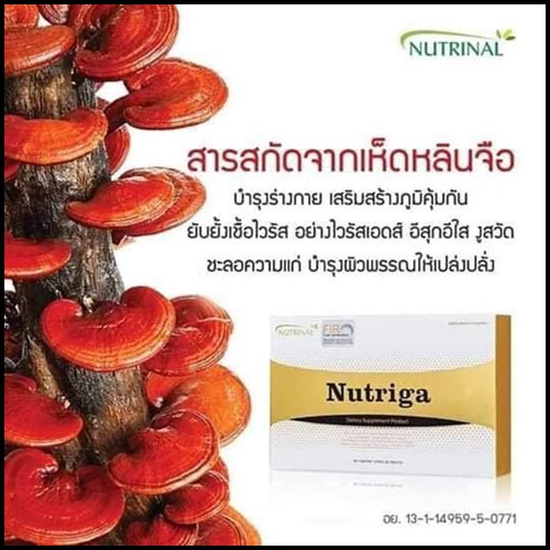 นูทริก้า Nutriga Nutrinal อาหารเสริมฟื้นฟูเซลล์