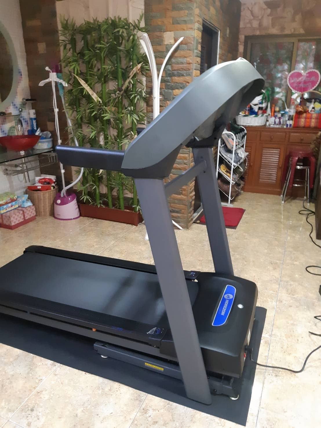 ลู่วิ่งไฟฟ้า Horizon T101