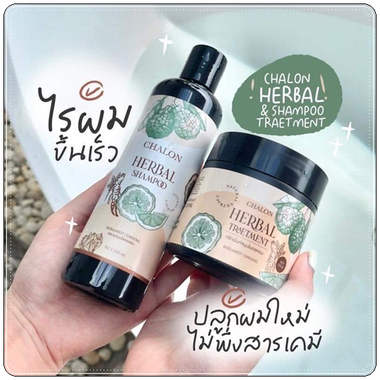 แชมพูมะกรูดชลอน Chalon Herbal Shampoo (แถมฟรี ทรีทเม้นชลอน)