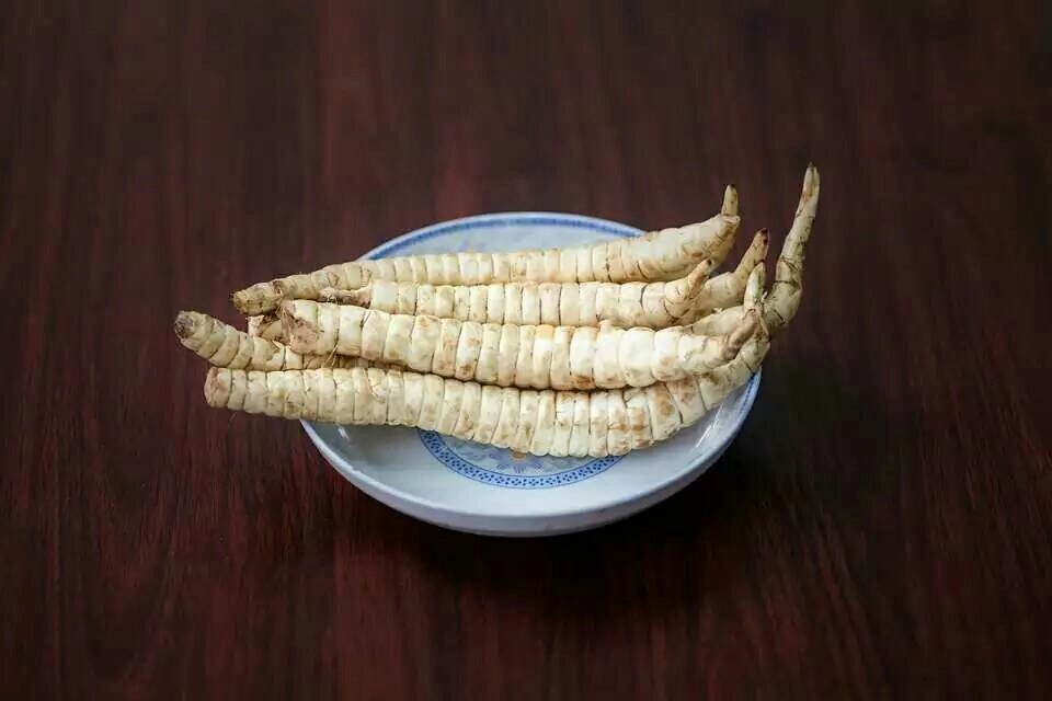 รากถั่วถังเช่า - Stachys geobombycis