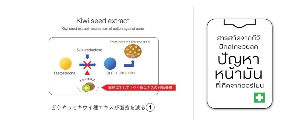 นูทริว่า เอซี ฟอร์ แอคเน่ (Nutriva AC For Acne)