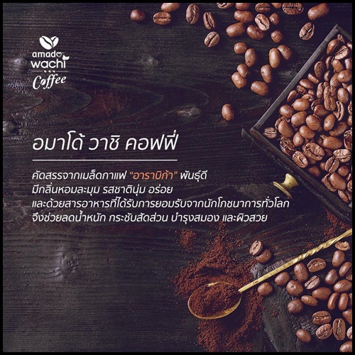กาแฟอมาโด้ วาชิ AMADO WACHI COFFEE