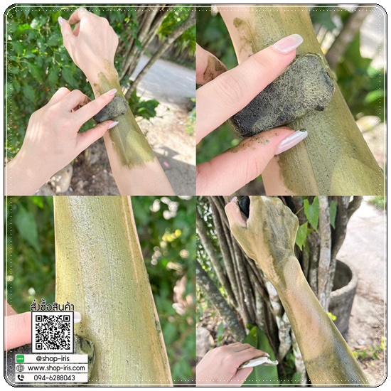 สบู่สครับบร็อคโคลี่ Broccoli Herbal Scrub Soap Be rich