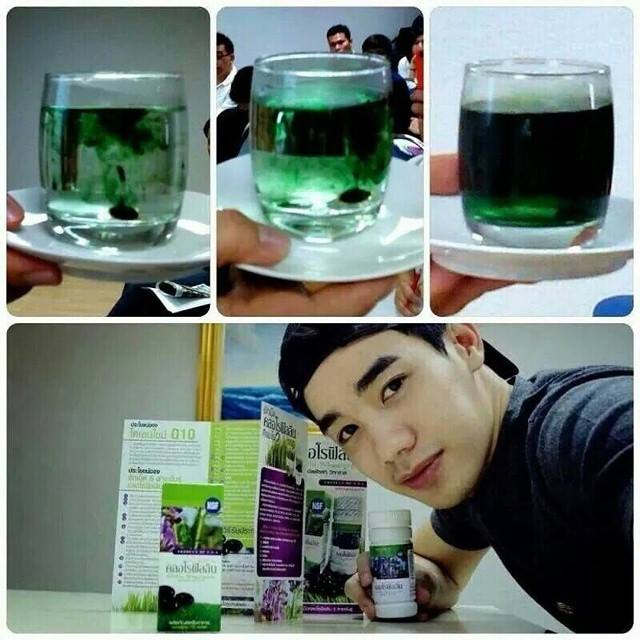 คลอโรฟิลลิน ผักเม็ดสำหรับคนไม่ชอบกินผัก (Chorofyllin Alfalfa Wheatgrass)