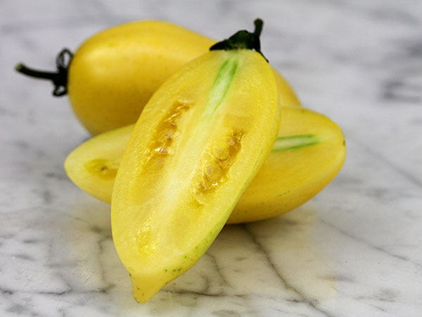 มะเขือเทศซอสเซจสีครีม - Cream Sausage Tomato