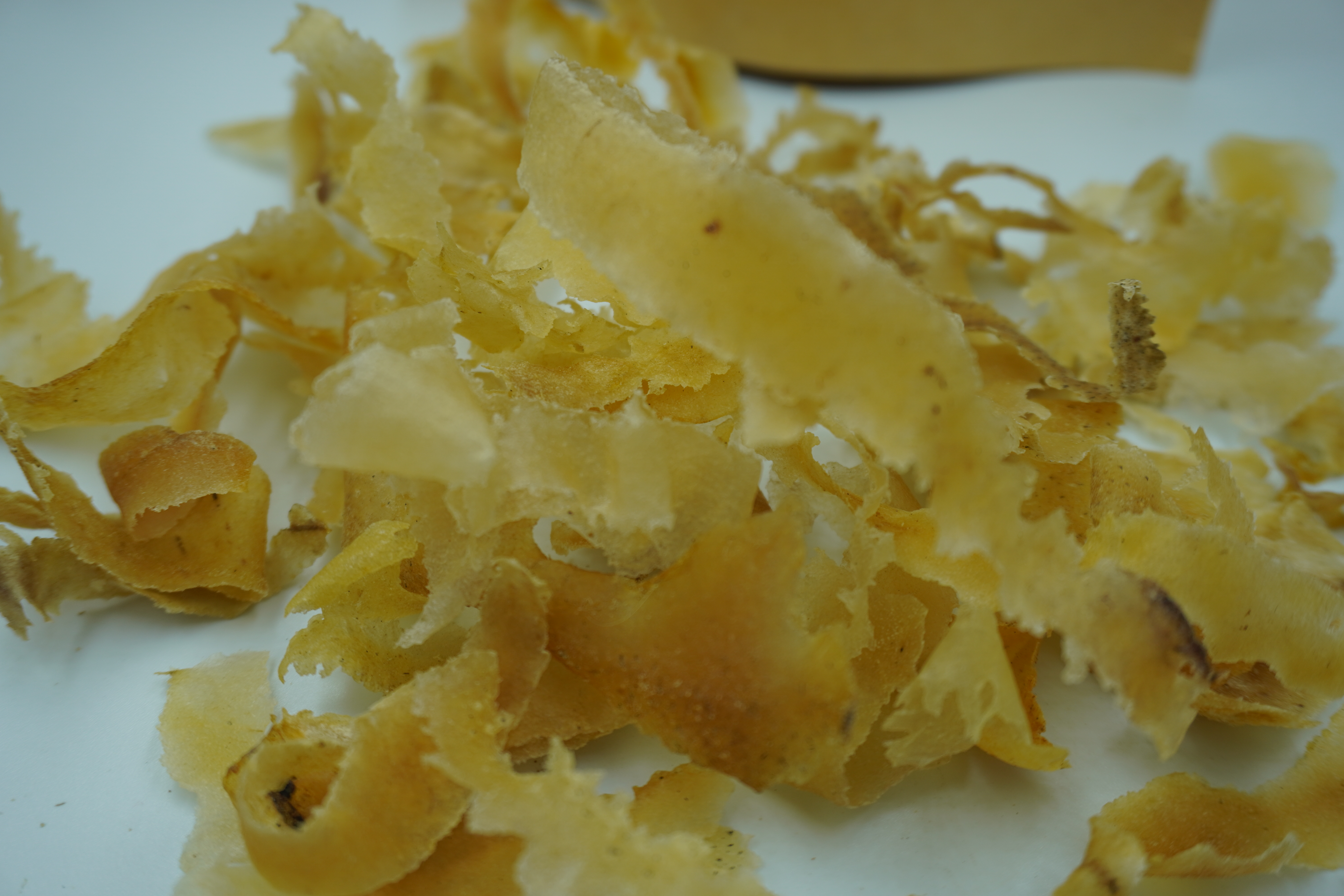 หนังฮอ หนังผอง (หนังวัว หนังควายแห้ง) ขนาด 50 กรัม ใช้ประกอบอาหารภาคเหนือ เช่น ยำหนัง หรือ ยำหนังฮอ ก่อนต้มหนังฮอ ควรนำไปแช่น้ำก่อน ประมาณ 10 นาที ยำหนังควาย ยำหนังฮอ หนังฮอ เป็นหนังวัวหรือหนังควายแห้ง ที่ต้มเปื่อยแล้ว ขูดเป็นชิ้นบาง ๆ บ้างก็หั่นเป็นชิ้น