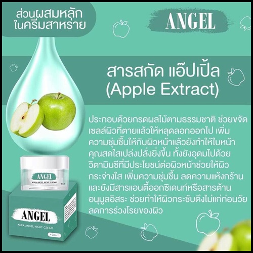 ออร่าแองเจิลไนท์ครีม Angel Aura Angel Night Cream ครีมสาหร่ายหน้าใสลดสิว