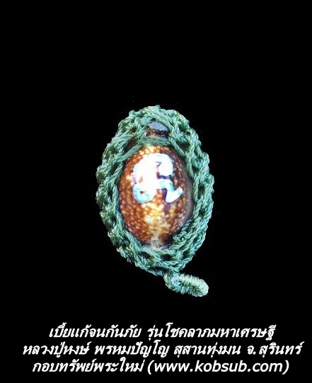 เบี้ยแก้จนกันภัย รุ่นโชคลาภมหาเศรษฐี หลวงปู่หงษ์ สุสานทุ่งมน จ.สุรินทร์