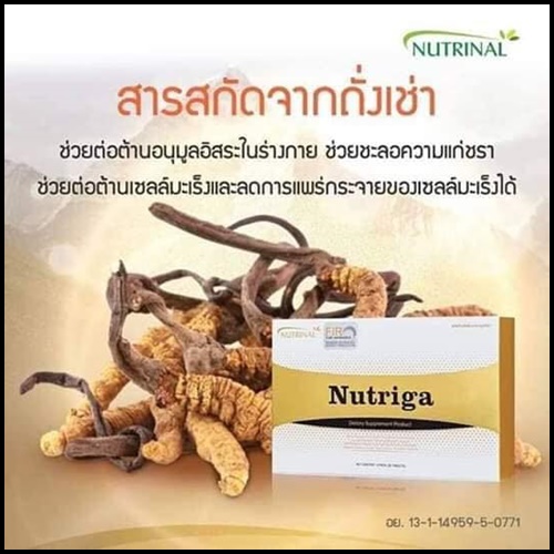 นูทริก้า Nutriga Nutrinal อาหารเสริมฟื้นฟูเซลล์
