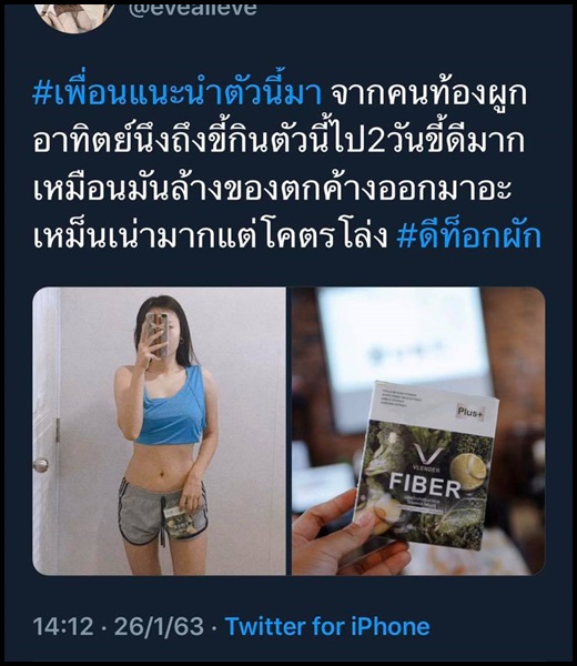 ดีท็อกซ์ผัก Vlender Fiber