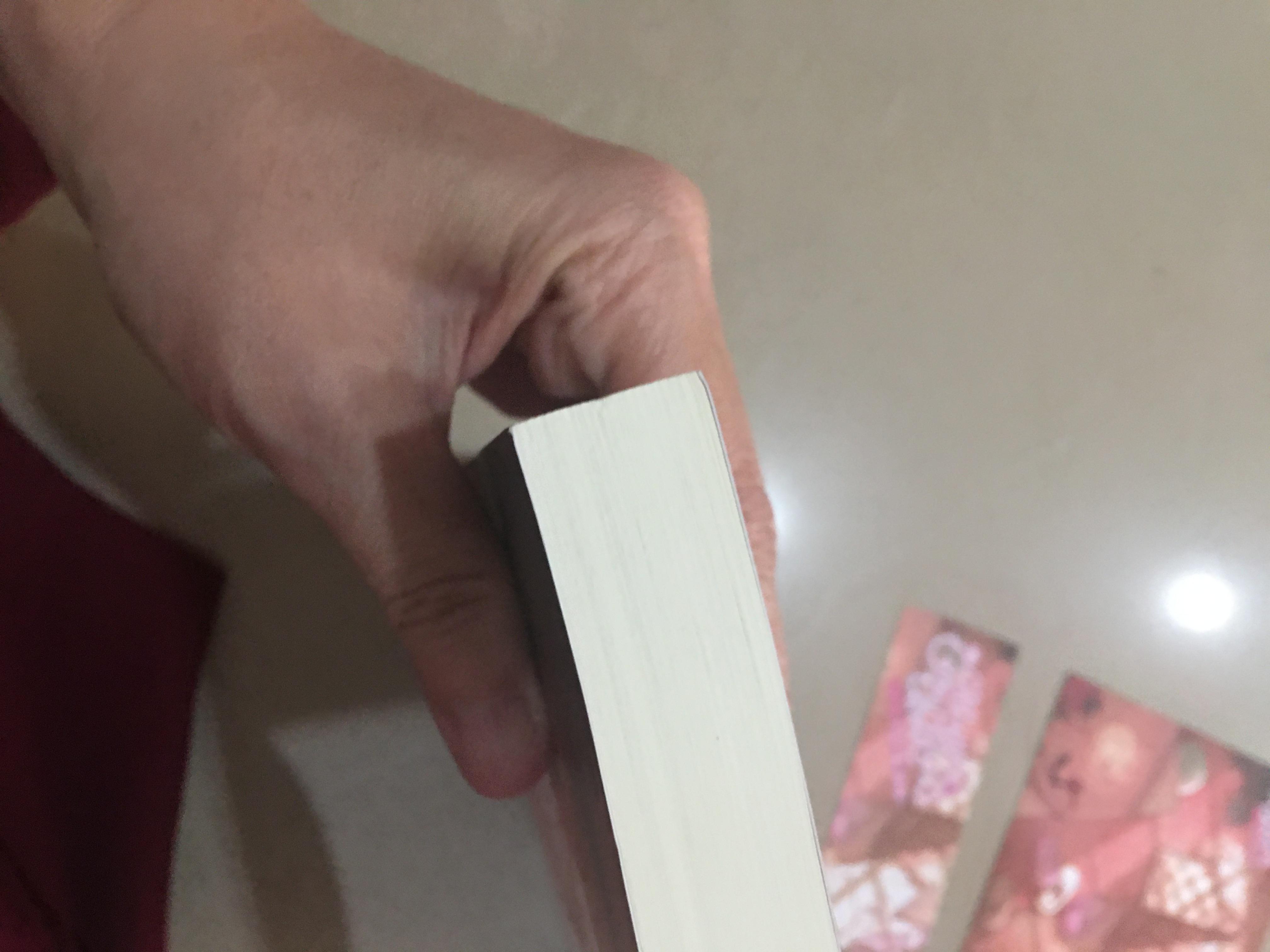 นิยายแต่ง กุหลาบแดงกับแมวขาว