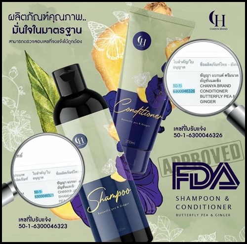 ชรแฮร์เฮิร์บ แชมพูสมุนไพรสดอัญชันขิง Chorn Hairherb เร่งยาว ลดการหลุดร่วง (1 แถม 1 ) ส่งฟรี