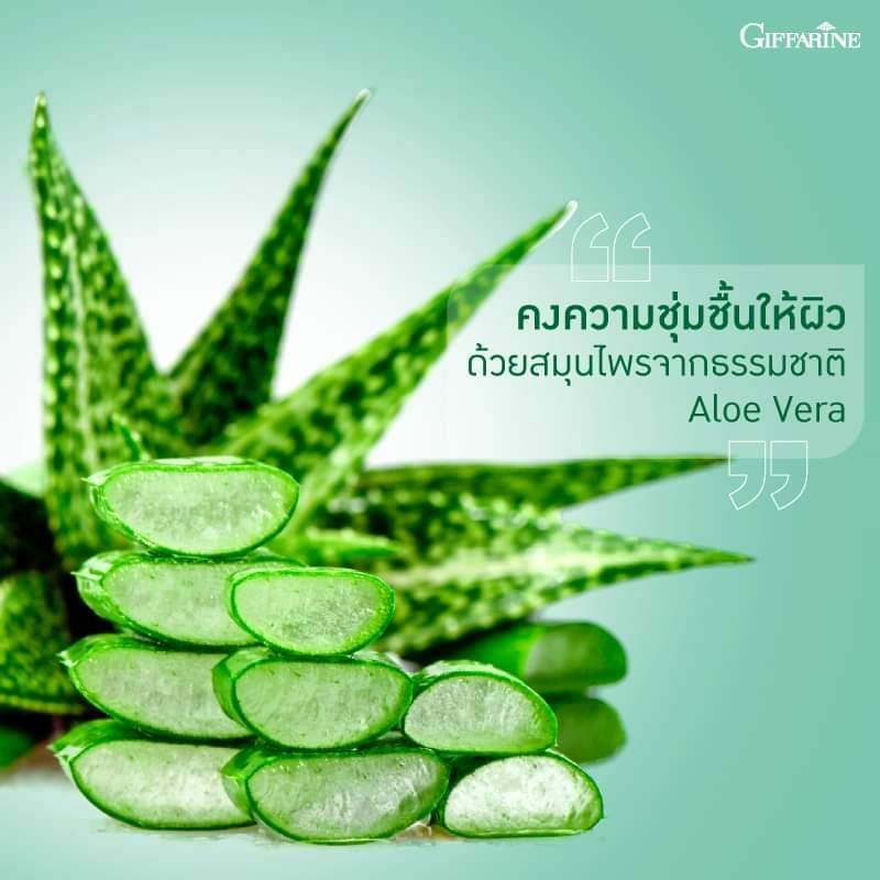 Giffarine เจลอาบน้ำ กิฟฟารีนแท้ กลิ่นหอมสดชื่น ผิวชุ่มชื้น กระจ่างใส Giffarine Shower Gel Grace