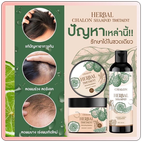 แชมพูมะกรูดชลอน Chalon Herbal Shampoo (แถมฟรี ทรีทเม้นชลอน)