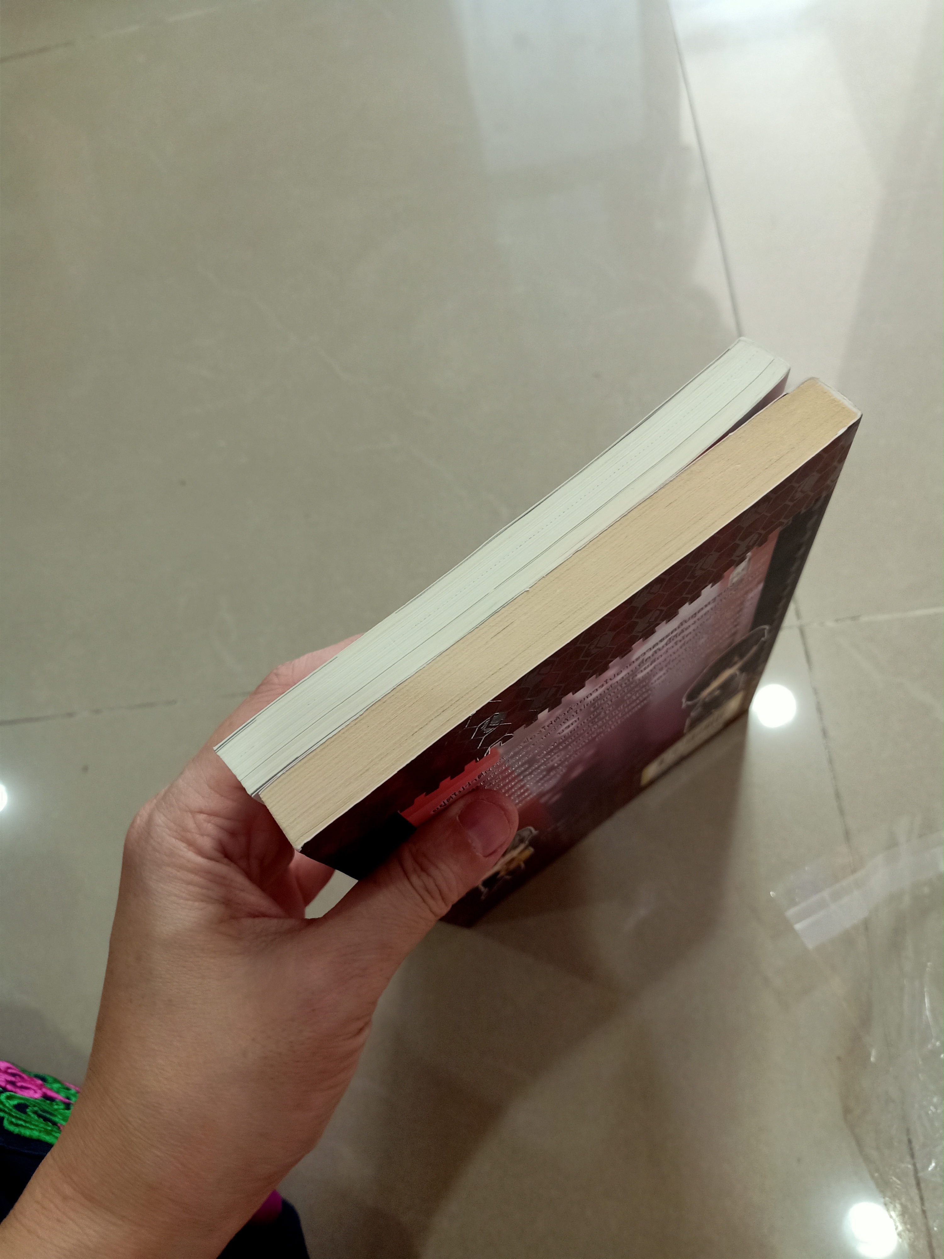 นิยายแต่ง บุกรุกรักก่อการหัวใจ + จุมพิตร้ายนายพยศรัก + โปสเตอร์