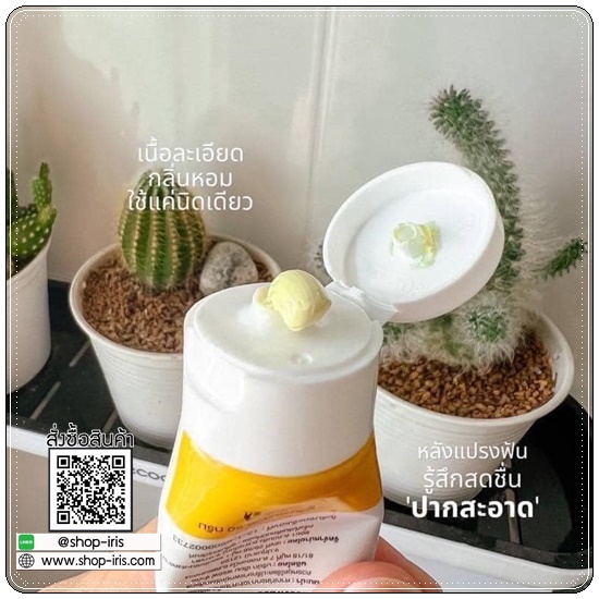 ยาสีฟันขิงขิง Khing Khing Fresh Care Herb Toothpaste ยาสีฟันบียอน (1แถม1)