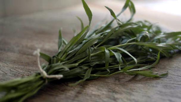 ทาร์รากอน - Tarragon