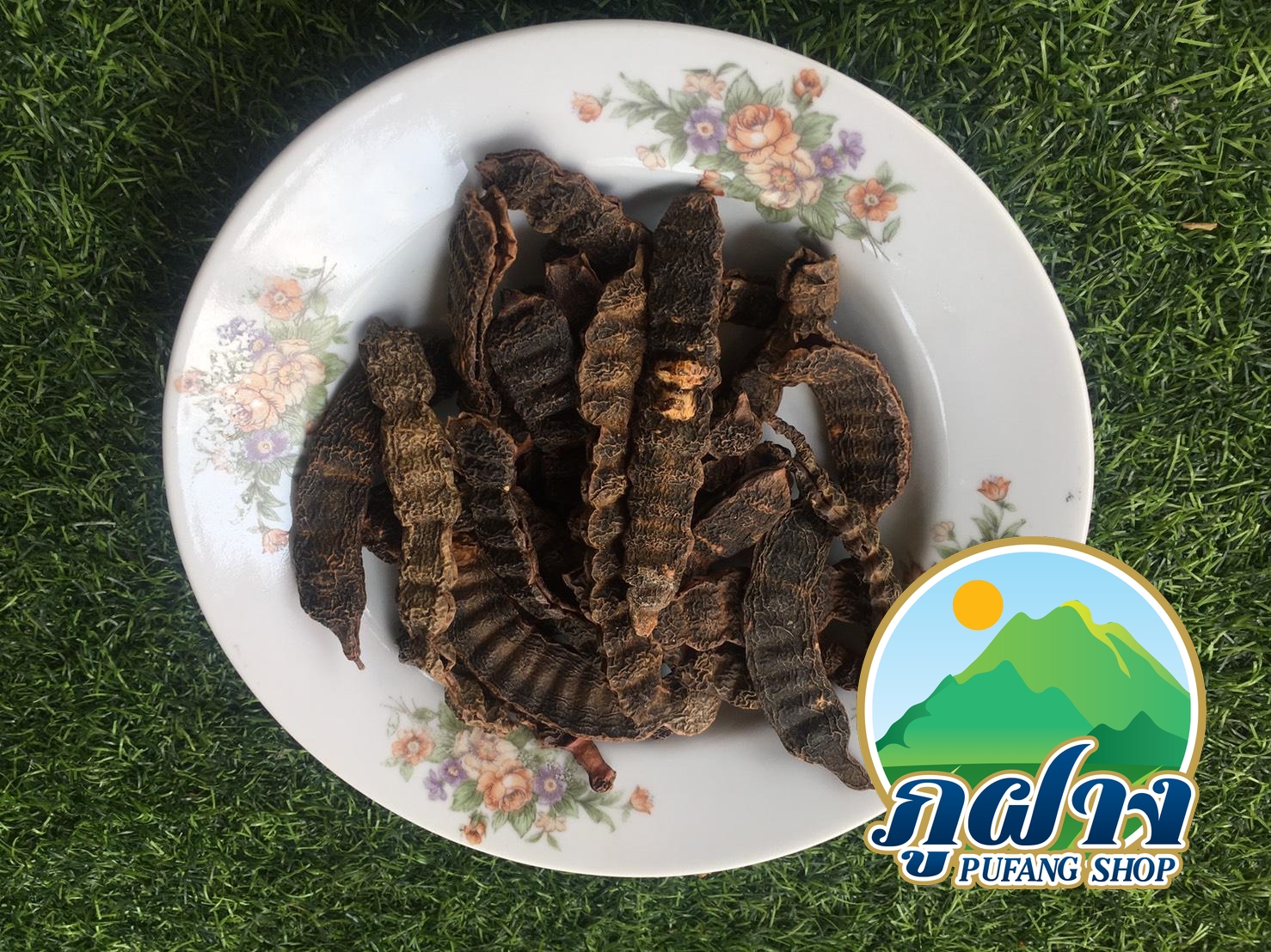 ส้มป่อย ฝักส้มป่อยแห้ง ฝักส้มป่อย Soap Pod ขนาด 100 กรัม สรรพคุณแก้ไข้จับสั่นหรือไข้มาลาเรียแก้ไอขับเสมหะ แก้เสมหะ และนิยมใช้ทำน้ำมนต์ตามความเชื่อของชาวล้านนา