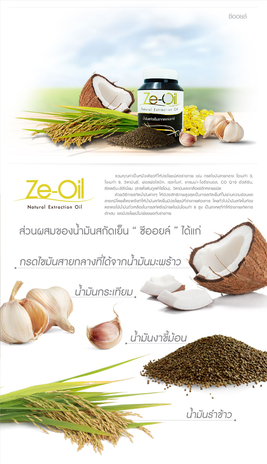 ซีออยล์ น้ำมันสกัดเย็น (Ze-Oil) ดูแลทุกระบบภายในร่างกาย