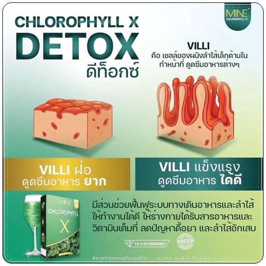 คลอโรฟิลล์ เอ็กซ์ CHLOROPHYLL X คลอโรฟิลล์มายมิ้น