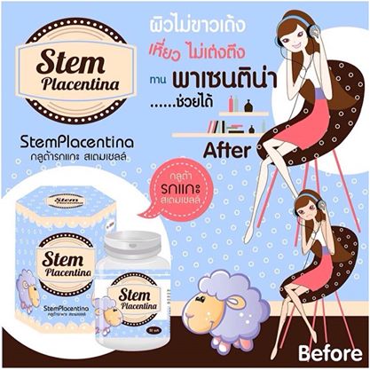 กลูต้ารกแกะ สเตมเซลล์