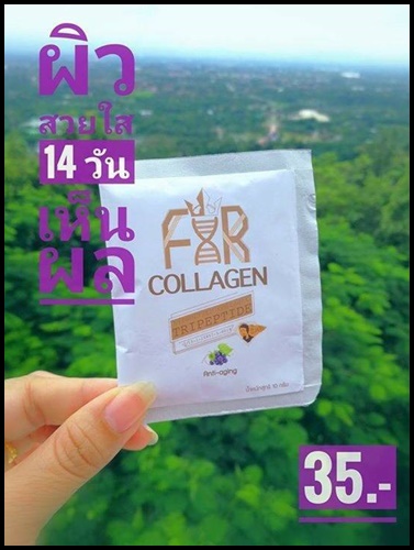 คอลลาเจนชาชะเหลียว FIR Collagan