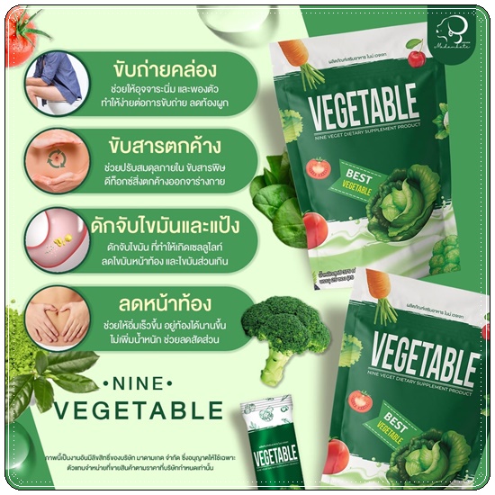 น้ำผักชงผอม Nine Vegetable น้ำผักไนน์เวทเจท ดีท็อกซ์