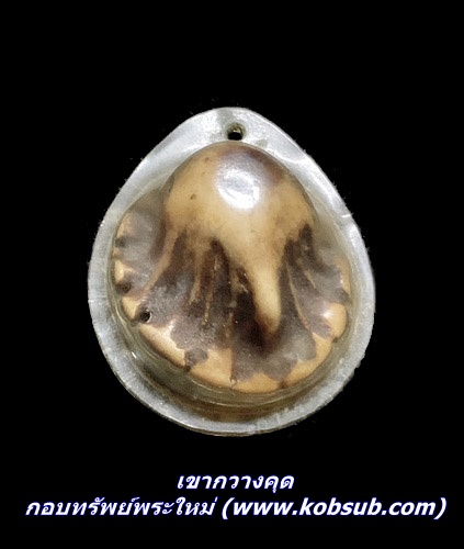 เขากวางคุด