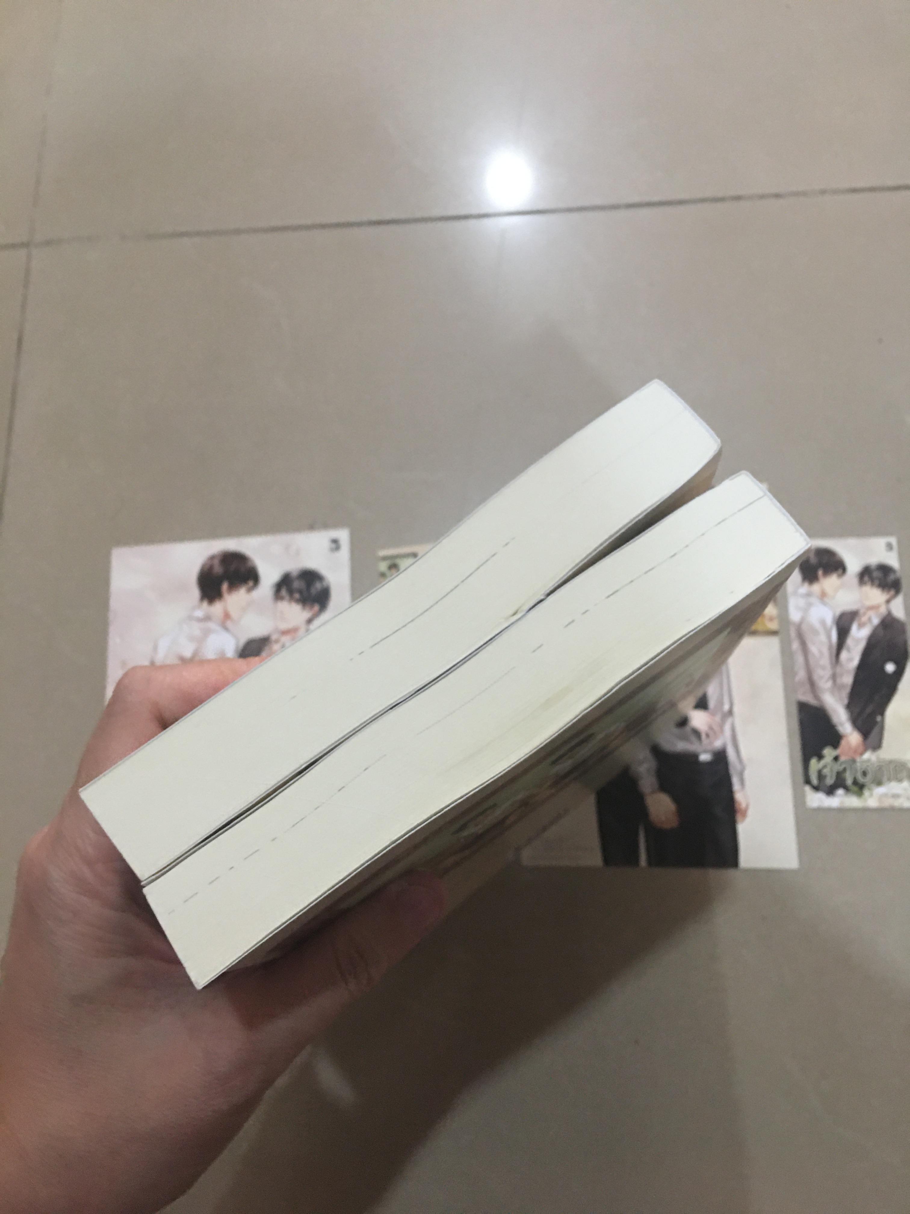 นิยายแต่ง เจ้าชีวิต 2 เล่มจบ