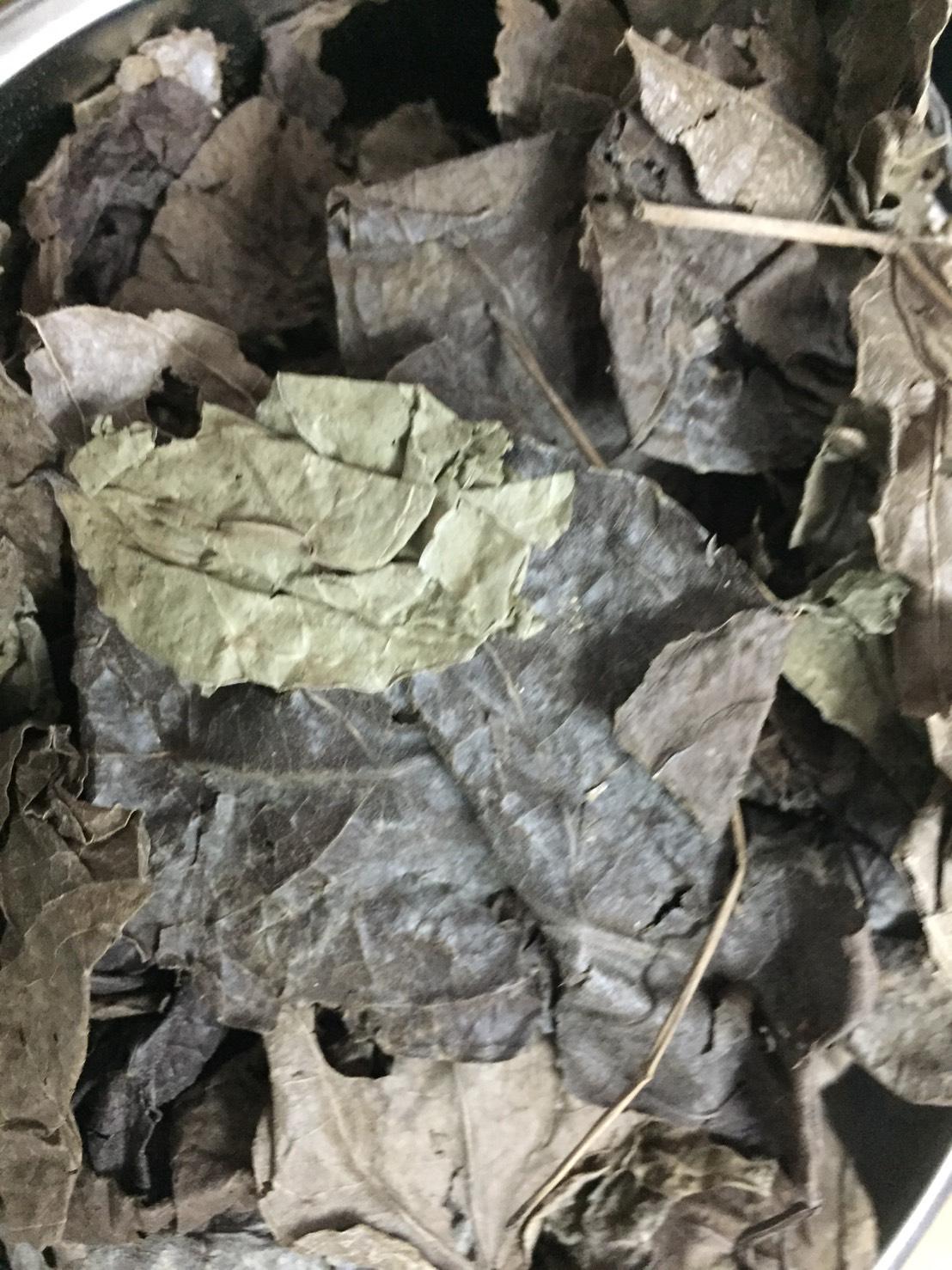 รางจืด ใบรางจืดแห้ง ขนาด 100 กรัม Thunbergia laurifolia Lindl รางจืด ราชายาแก้พิษ สมุนไพรล้างพิษฤทธิ์เย็น