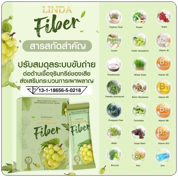 ลินดา ไฟเบอร์ Linda Fiber