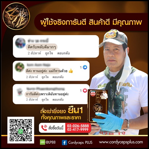 ถั่งเช่า ผสมมัลติวิตามินบี ถั่งเช่ายิ่งยง ของแท้