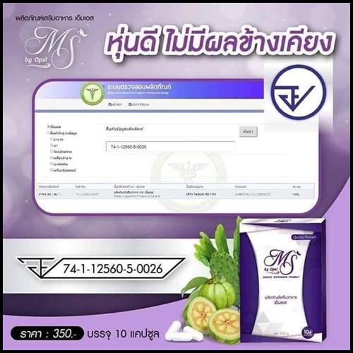 เอ็ม เอส MS by Opal อาหารเสริมลดน้ำหนัก