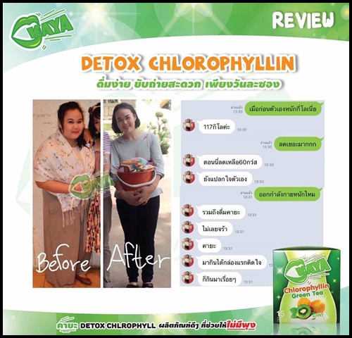 คายะ คลอโรฟิลล์ กรีนที ดีท็อกซ์ KAYA Chlorophyllin Green Tea