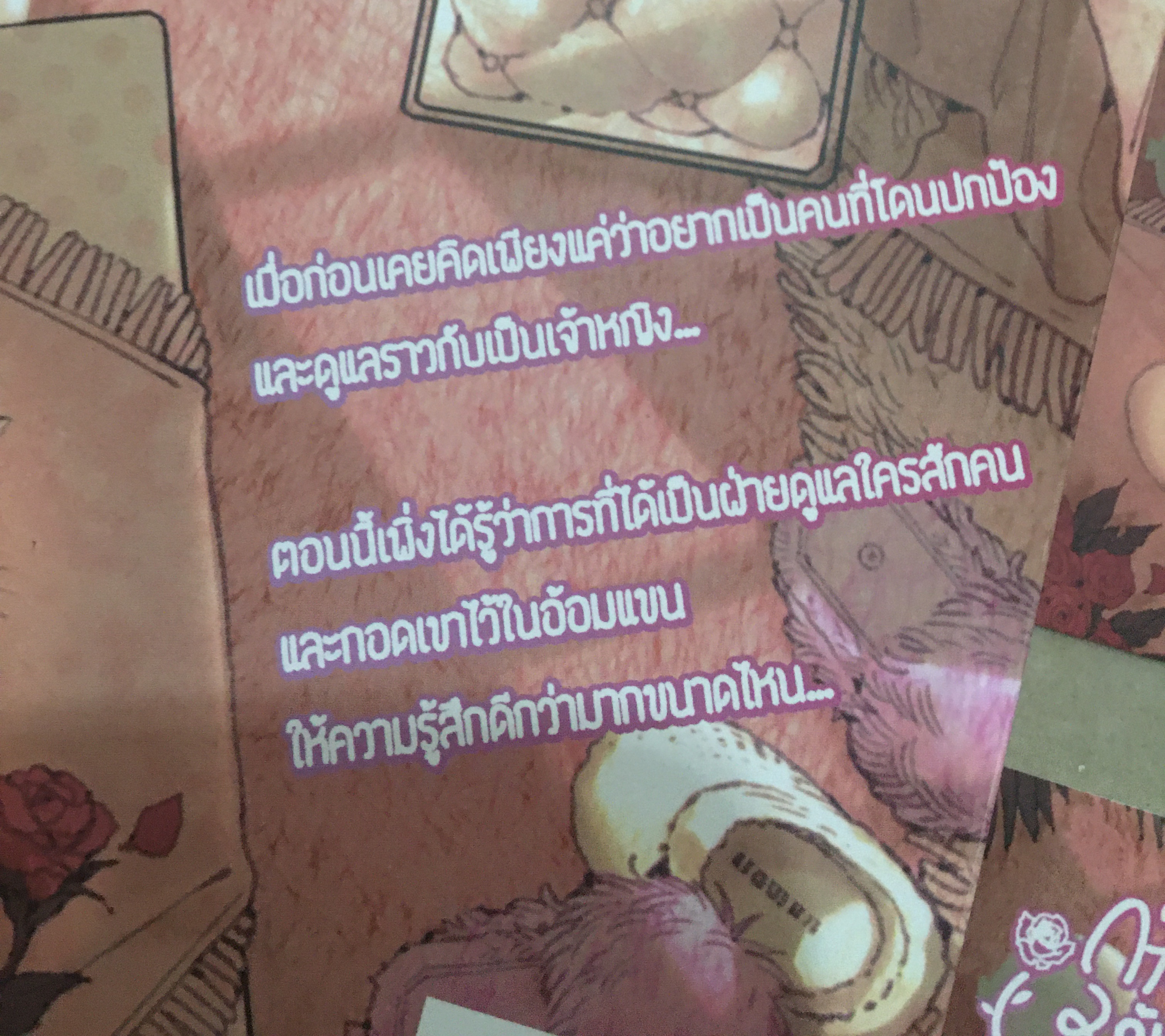 นิยายแต่ง กุหลาบแดงกับแมวขาว