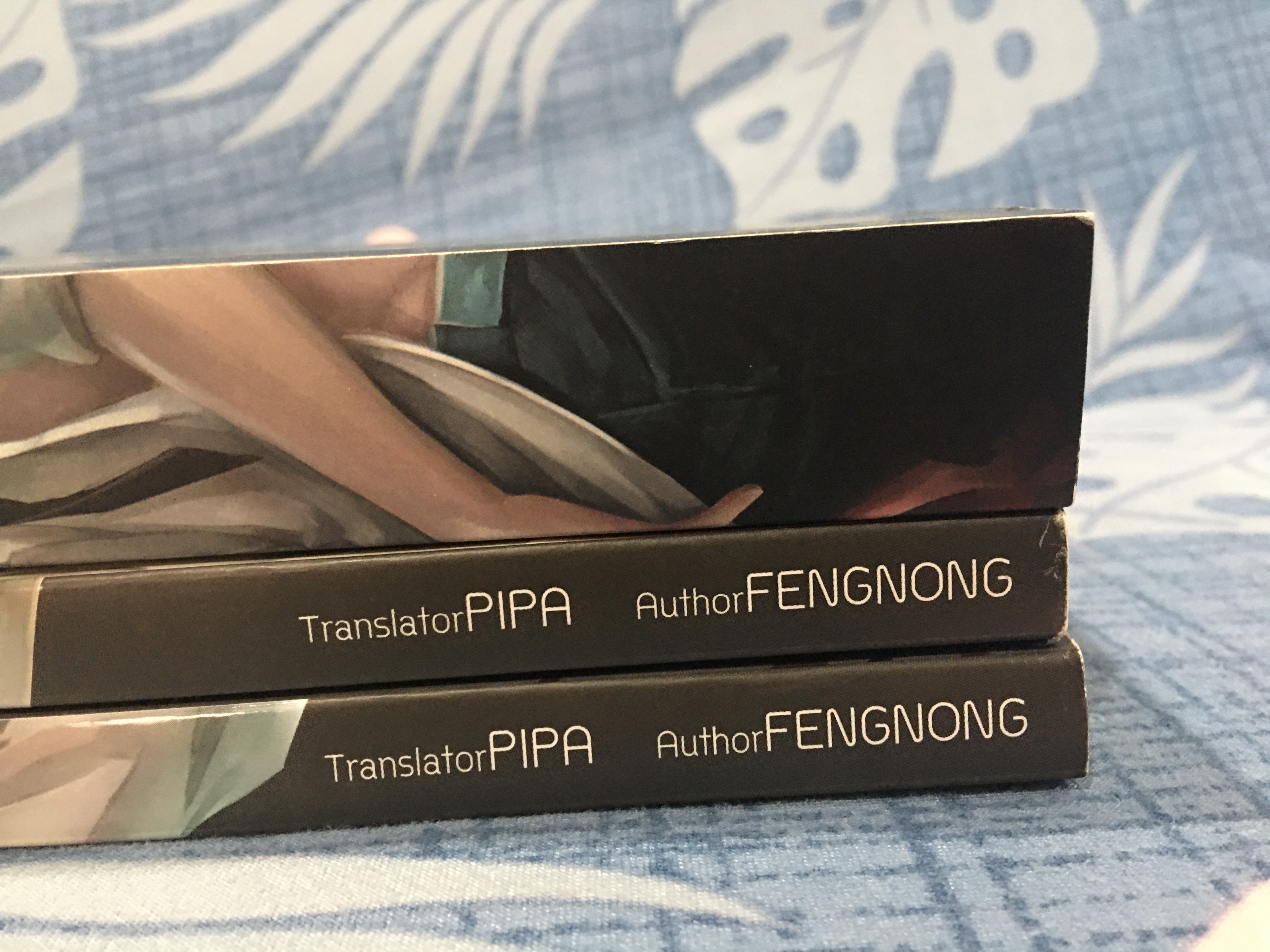 นิยายแปล ตราบสิ้นแสงตะวัน 2 เล่มจบ + ปลอกสวม
