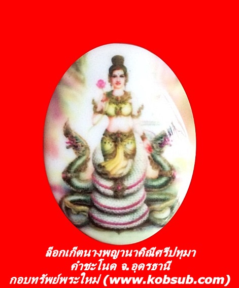 ล็อกเก็ตนางพญานาคิณีศรีปทุมา คำชะโนด จ.อุดรธานี