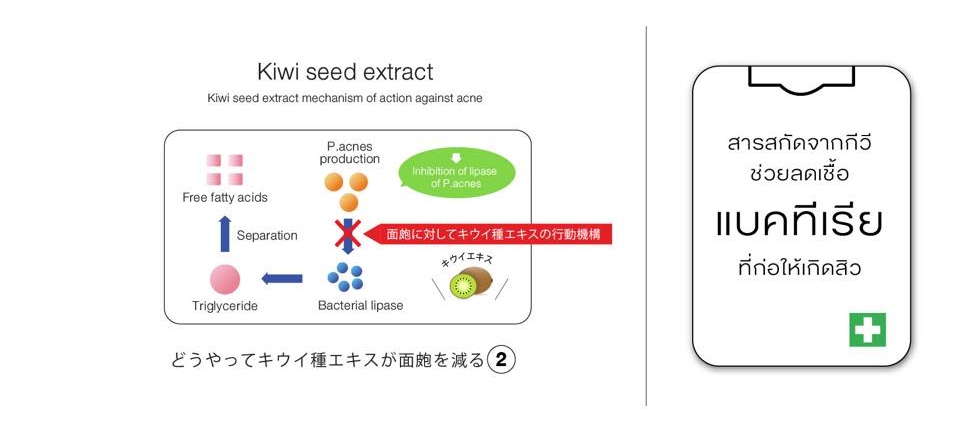 นูทริว่า เอซี ฟอร์ แอคเน่ (Nutriva AC For Acne)