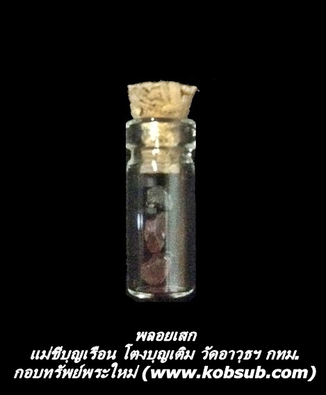 พลอยเสก แม่ชีบุญเรือน โตงบุญเติม วัดอาวุธฯ กทม.