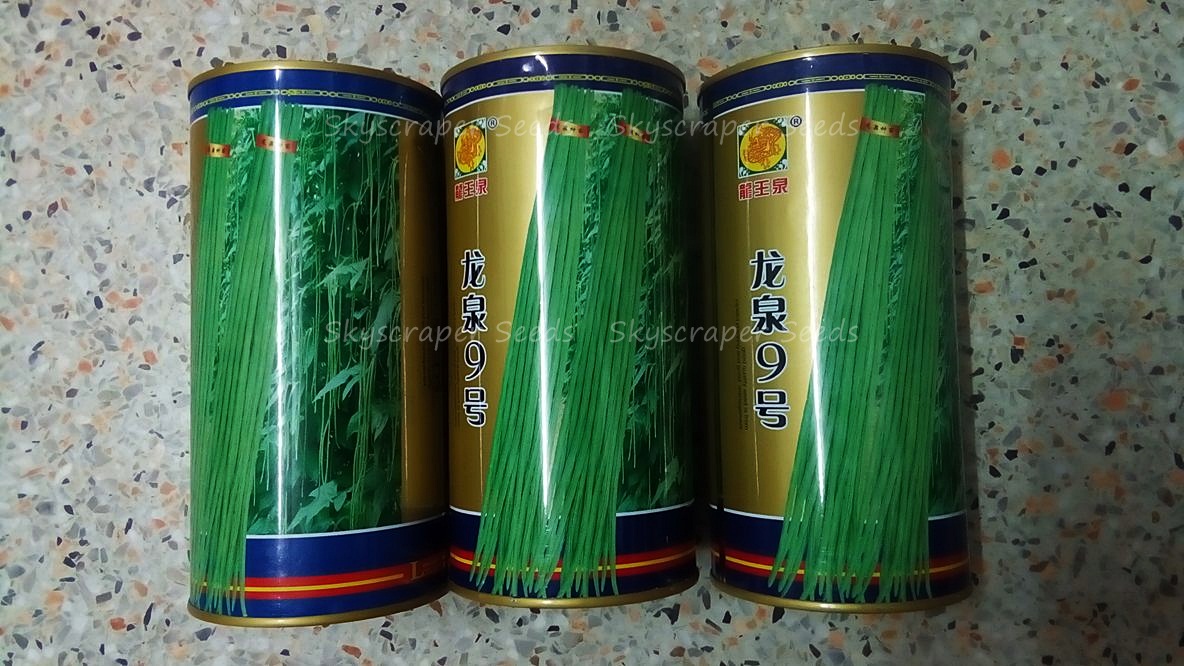 ถั่วฝักยาว - Yard Long Bean (1-1.2 เมตร)