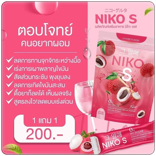 Niko S Fiber นิโกะ เอส ไฟเบอร์