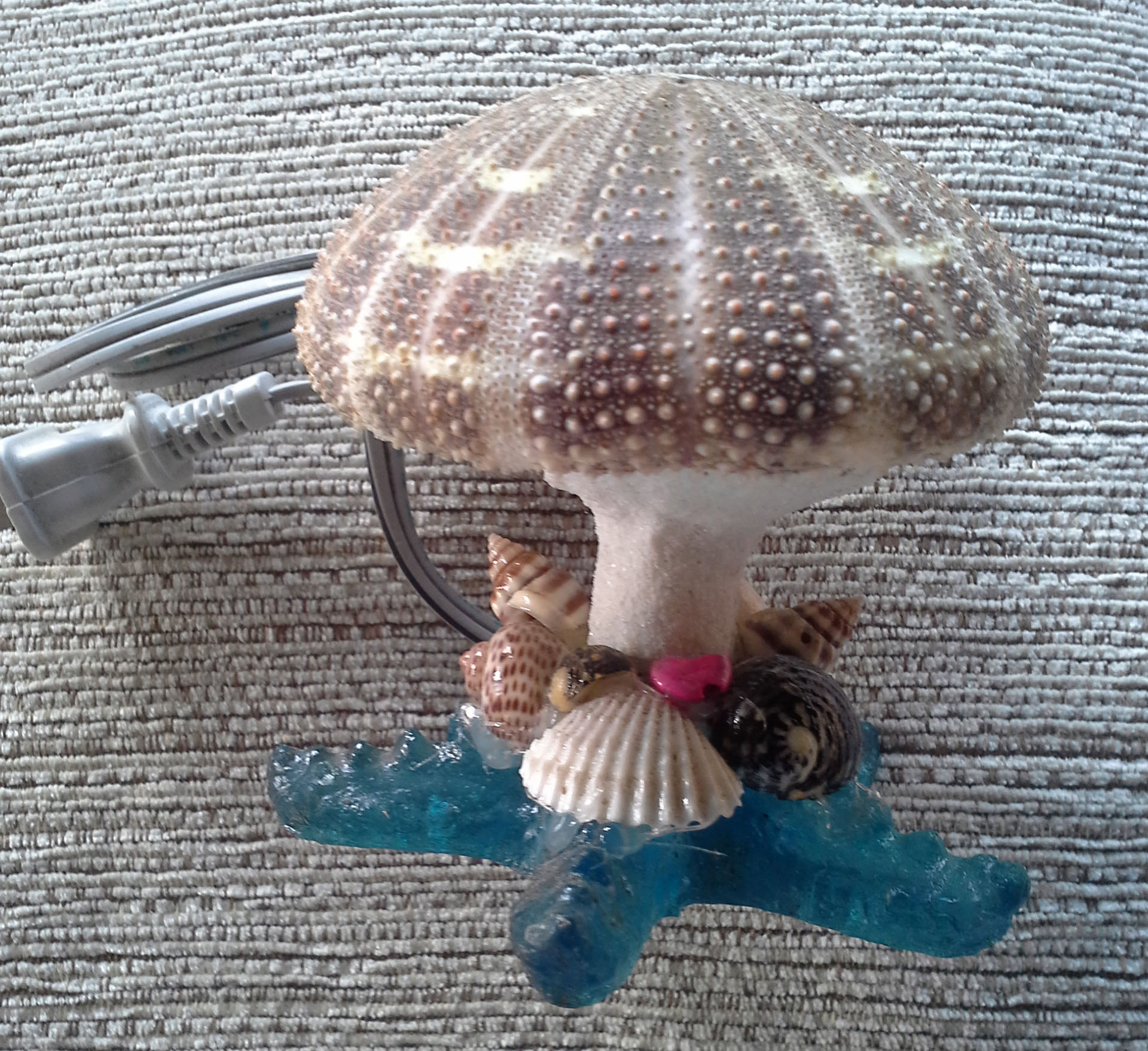 โคมไฟหอยเม่น ฐานปลาดาว ส่งฟรี