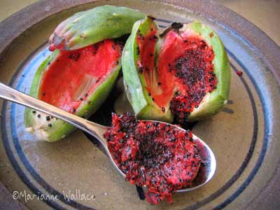 ซากัวโร - Saguaro