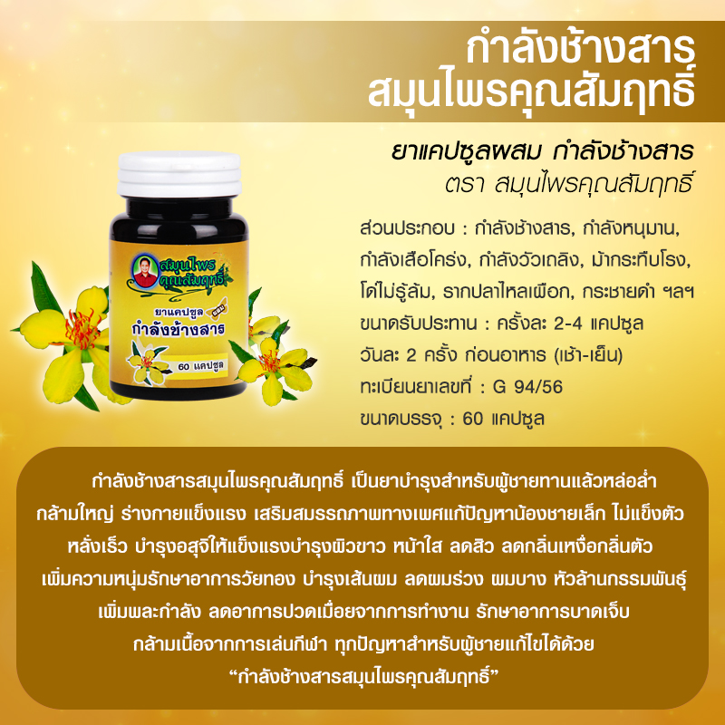 กำลังช้างสาร สมุนไพรคุณสัมฤทธิ์