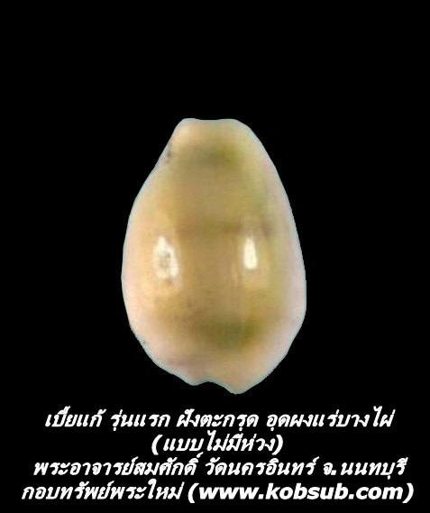 เบี้ยแก้ รุ่นแรก ฝังตะกรุด อุดผงแร่บางไผ่ (แบบไม่มีห่วง) พระอาจารย์สมศักดิ์ วัดนครอินทร์