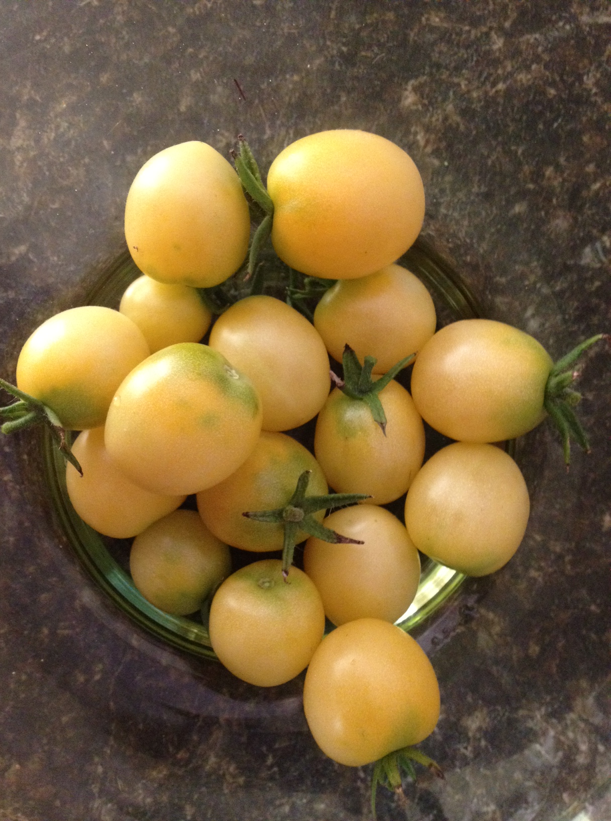 มะเขือเทศเชอรี่สีขาว - White Cherry Tomato